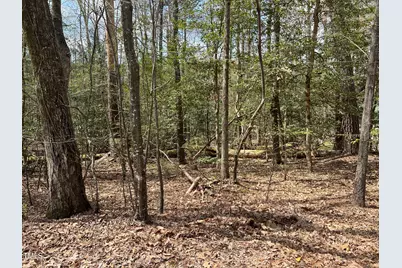 7022 Cedar Road, Sanford, NC 27332 - Photo 1