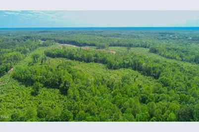 167.10 Leasburg Road, Roxboro, NC 27574 - Photo 1