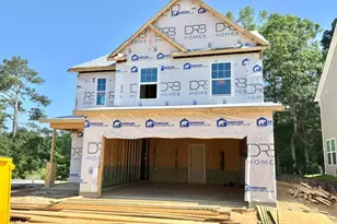 243 Steel Springs Ln, Angier, NC 27501 - Photo 1