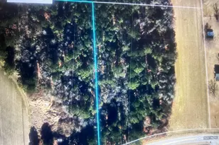 621 Partin Rd, Dunn, NC 28334 - Photo 1