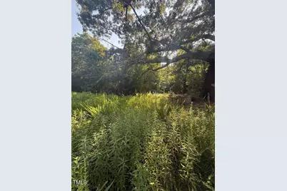 1111 Embro Vaughn Road, Macon, NC 27551 - Photo 1