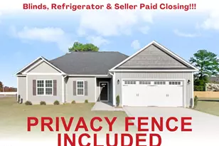 100 Nova Pl, Pikeville, NC 27863 - Photo 1