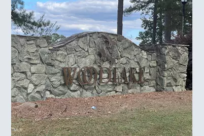 964 Riverbirch Drive, Vass, NC 28394 - Photo 1