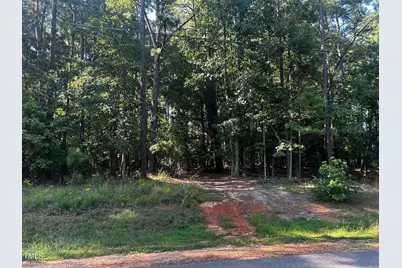 119 Mayan Dr. Drive, Louisburg, NC 27549 - Photo 1