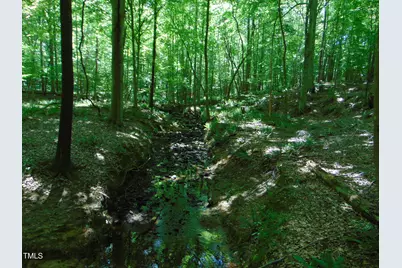 Lot 3 Hesters Store Rd., Roxboro, NC 27574 - Photo 1