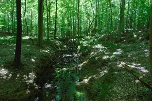 Lot 3 Hesters Store Rd, Roxboro, NC 27574 - Photo 1