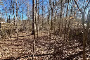 1449 Knollwood Dr, Burlington, NC 27217 - Photo 1