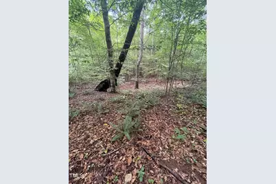 0 Bethel South Fork Road, Snow Camp, NC 27349 - Photo 1