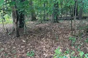 116 Blackfoot Dr, Louisburg, NC 27549 - Photo 1