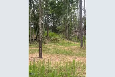 505 Chesley Lane, Lillington, NC 27546 - Photo 1