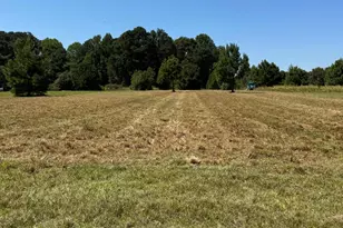 1 Basstown Rd, Clinton, NC 28328 - Photo 1