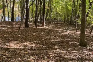 234 Hillcrest Ln, Clayton, NC 27520 - Photo 1