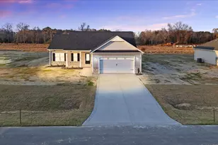 305 Creeks Edge Dr, Pikeville, NC 27863 - Photo 1