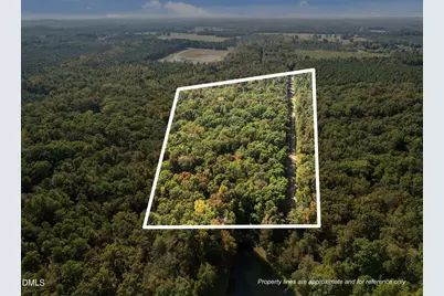 9650 Twisted Oak Trail, Snow Camp, NC 27349 - Photo 1