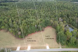 Lot 4 Zeb Ferguson, Siler City, NC 27344 - Photo 1