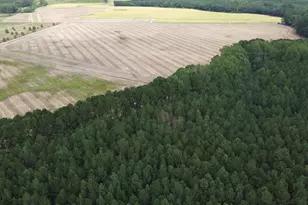 0 McNeill Hobbs Rd, Bunnlevel, NC 28323 - Photo 1