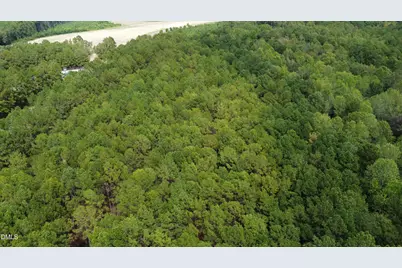 0 Sanderfer Rd Road, Bunnlevel, NC 28323 - Photo 1