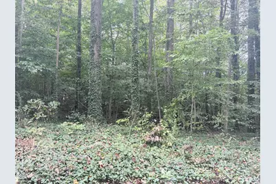 L37-41 N Tenth Street, Mebane, NC 27302 - Photo 1