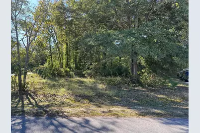 120 Durant Road, Wilson's Mills, NC 27520 - Photo 1