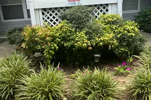 4907 Hollenden Dr, Raleigh, NC 27616 - Photo 1