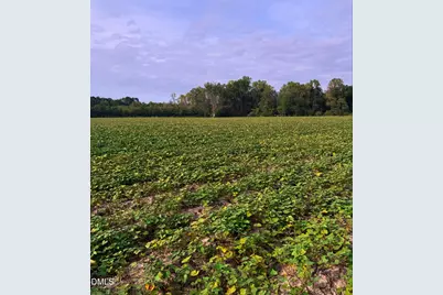 0 Devils Racetrack Road, Four Oaks, NC 27524 - Photo 1