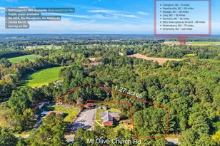 Lot 1 0 Mt Olive Church Rd, Lillington, NC 27546 - Photo 1