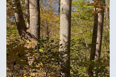 Lot 6 Sepelo Way, Efland, NC 27243 - Photo 1