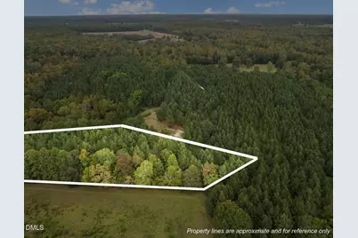 Lot 4 Wolf Tree Way, Efland, NC 27243 - Photo 1