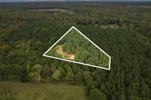 Lot 3 Wolf Tree Way, Efland, NC 27243 - Photo 1