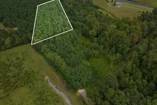 Lot 2 Wolf Tree Way, Efland, NC 27243 - Photo 1