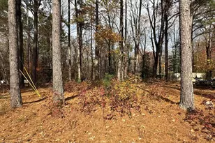 131 Catoose Dr, Louisburg, NC 27549 - Photo 1