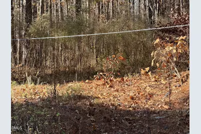 525 Montgomery Road, Franklinton, NC 27525 - Photo 1