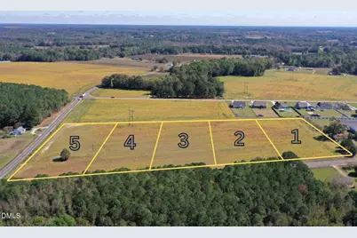1815 Sheriff Johnson Road, Lillington, NC 27546 - Photo 1