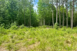 Tract 1 Frazier Rd, Spring Hope, NC 27882 - Photo 1