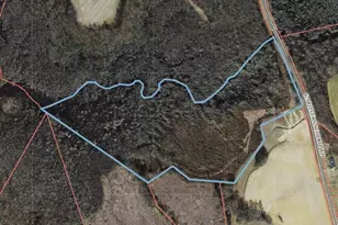 7138 Gardners School Rd, Stantonsburg, NC 27883 - Photo 1