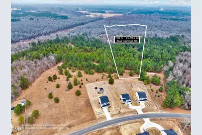 Lot 5 Blue Springs Road, Red Springs, NC 28377 - Photo 1