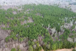 0 White Dr, Snow Camp, NC 27349 - Photo 1