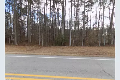 196 Trinity Church Road, Louisburg, NC 27549 - Photo 1