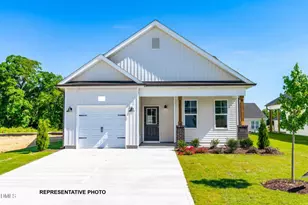 21 N Mistflower St, Clayton, NC 27520 - Photo 1