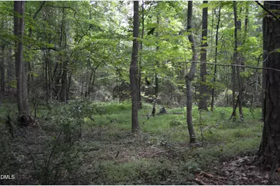 0 Dyson Drive, Mebane, NC 27302 - Photo 1