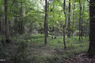 0 Dyson Dr, Mebane, NC 27302 - Photo 1