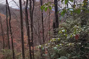 0 Bear Cove Cir, Bryson City, NC 28713 - Photo 1