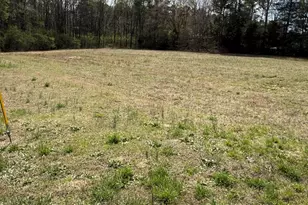 20 Sutton Rd, Louisburg, NC 27549 - Photo 1