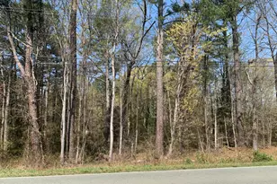 102 Airport Rd, Siler City, NC 27344 - Photo 1