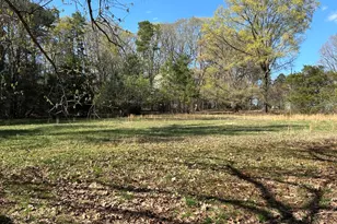 703 Crestview Dr, Durham, NC 27712 - Photo 1