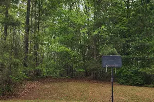126 W Silver Belle Dr, Zebulon, NC 27597 - Photo 1