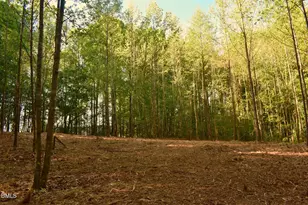 0 Hodges Dairy Rd, Yanceyville, NC 27379 - Photo 1