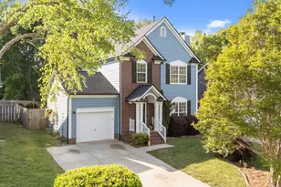 1009 Starkland Way, Holly Springs, NC 27540 - Photo 1