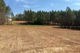 2379 Peachtree Hills Rd, Spring Hope, NC 27882 - Photo 1