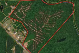 00 Bethel South Fork Rd, Graham, NC 27253 - Photo 1
